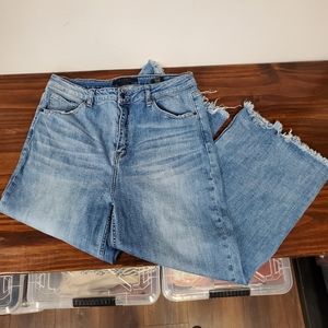 Risen Los Angeles High Rise Wide Leg Cropped Denim 32 /15 Classic Wash Raw Hem